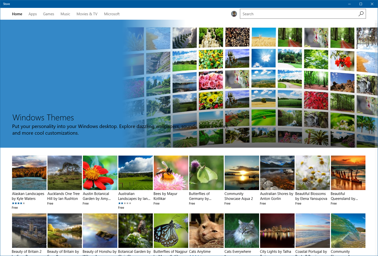 Download themes for your PC from the Windows Store (PC)