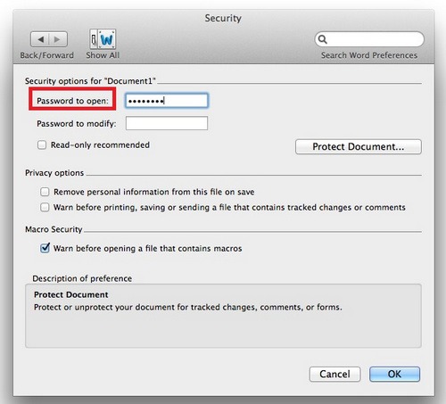 how to password protect a word document mac 3