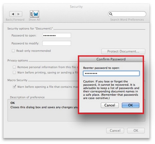 how to password protect a word document mac 4
