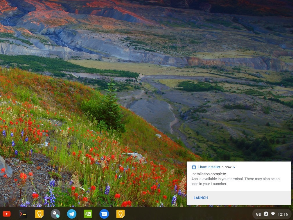 Install Microsoft Edge on a Chromebook 9